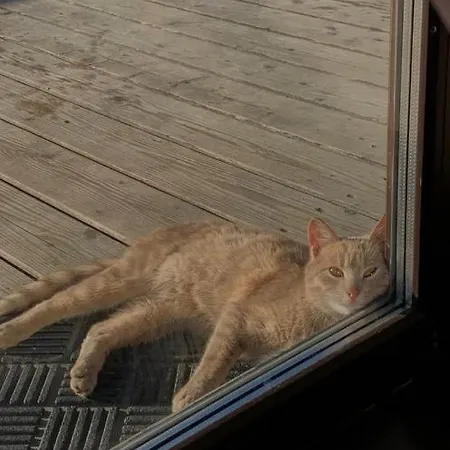 Holiday home The Sunset будиночок з чаном чан не входить у вартість *